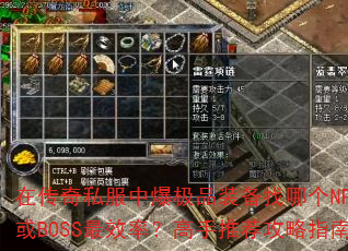 �ڴ���˽���б���Ʒװ�����ĸ�NPC��BOSS��Ч�ʣ������Ƽ�����ָ��