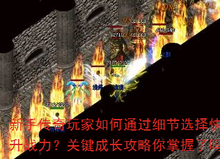 ���ִ���������ͨ��ϸ��ѡ���������ս�����ؼ��ɳ���������������