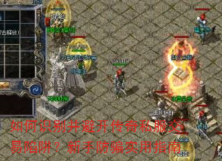 ���ʶ�𲢱ܿ�����˽���������壿���ַ�ƭʵ��ָ��
