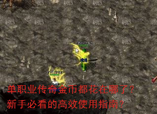 ��ְҵ�����Ҷ��������ˣ����ֱؿ��ĸ�Чʹ��ָ�ϣ�