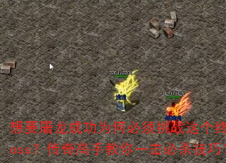 ��Ҫ�����ɹ�Ϊ�α�����ս����ռ�boss��������ֽ���һ����ɱ���ɣ�