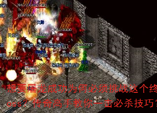 ��Ҫ�����ɹ�Ϊ�α�����ս����ռ�boss��������ֽ���һ����ɱ���ɣ�
