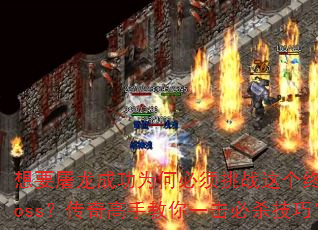 ��Ҫ�����ɹ�Ϊ�α�����ս����ռ�boss��������ֽ���һ����ɱ���ɣ�