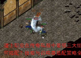 ��ʿְҵ�ڴ���˽������ǿ���������δ��䣿�������ٻ��޴������ȫ����