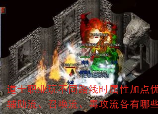 道士职业玩不同路线时属性加点优先级如何分配?辅助流、召唤流、毒攻流各有哪些属性偏向差异? 道士职业玩不同路线时属性加点优先级如何分配?辅助流、召唤流、毒攻流各有哪些属性偏向差异?