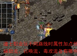 道士职业玩不同路线时属性加点优先级如何分配?辅助流、召唤流、毒攻流各有哪些属性偏向差异? 道士职业玩不同路线时属性加点优先级如何分配?辅助流、召唤流、毒攻流各有哪些属性偏向差异?
