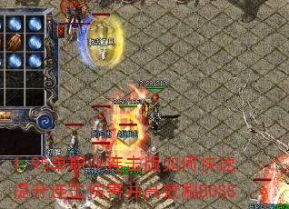 1.95��ְҵ��������ο������������˺�����ЧˢBOSS