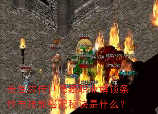 �����紫������ְҵ���������뼼�ܴ����ؾ���ʲô��