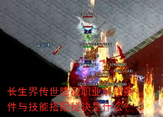 �����紫������ְҵ���������뼼�ܴ����ؾ���ʲô��
