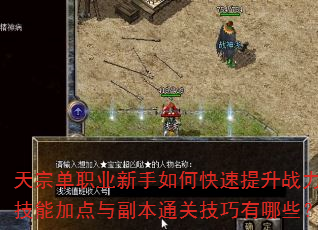 天宗单职业新手如何快速提升战力?技能加点与副本通关技巧有哪些? 天宗单职业新手如何快速提升战力?技能加点与副本通关技巧有哪些?