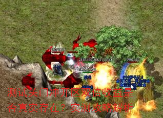 ���Թ��ų忪��˫�������Ƿ���ʵ���ڣ�ʵ�⹥�Խ���