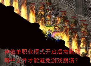 ���ӵ�ְҵģʽ��������ɾ����Щ�ļ����ܱ�����Ϸ������