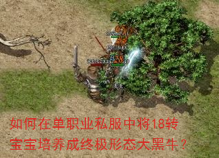 ����ڵ�ְҵ˽���н�18ת�����������ռ���̬���ţ��
