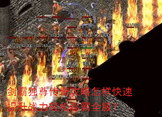 ���Զ����湥��������������ս�����ɳư�ȫ����