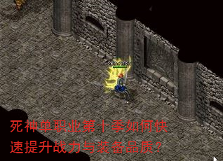 ����ְҵ��ʮ����ο�������ս����װ��Ʒ�ʣ�