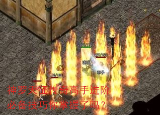 ��������������ֽ��ױر���������������