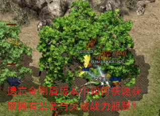 遗忘金刚盾版本中如何快速获取稀有装备与突破战力瓶颈? 遗忘金刚盾版本中如何快速获取稀有装备与突破战力瓶颈?