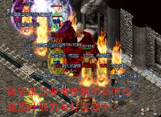 ΢�䵥ְҵ����������ο�������ս�����Ч�ʣ�