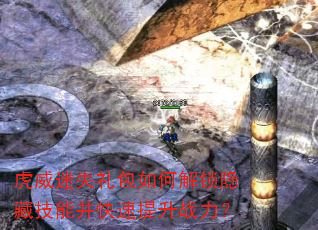 虎威迷失礼包如何解锁隐藏技能并快速提升战力? 虎威迷失礼包如何解锁隐藏技能并快速提升战力?