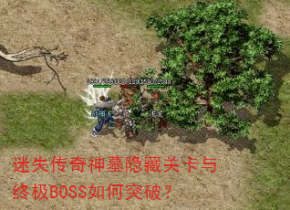 ��ʧ������Ĺ���عؿ����ռ�BOSS���ͻ�ƣ�