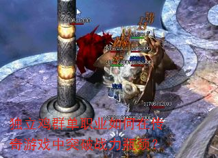������Ⱥ��ְҵ����ڴ�����Ϸ��ͻ��ս��ƿ����