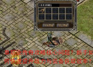 ��ְҵ���湥�Ժ������⣿������ο�������ս����װ����ȡЧ�ʣ�