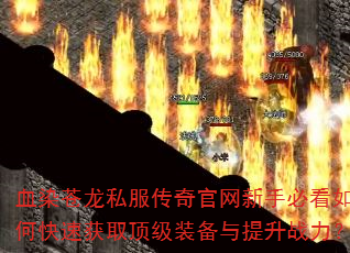 ѪȾ����˽������������ֱؿ���ο��ٻ�ȡ����װ��������ս����
