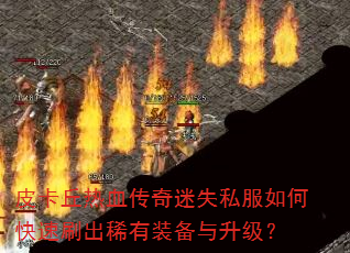 Ƥ������Ѫ������ʧ˽����ο���ˢ��ϡ��װ����������