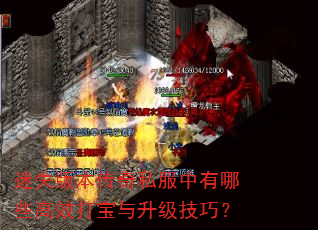��ʧ�汾����˽��������Щ��Ч�����������ɣ�