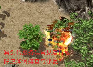 ڤ��������˳������й���Ӧ����Ų����޸���