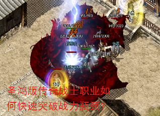 ʥ��洫��սʿְҵ��ο���ͻ��ս��ƿ����