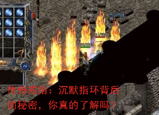 �����ָ����Ĭָ����������ܣ�������˽���