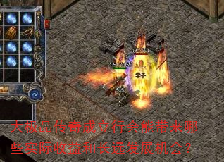 ��Ʒ��������л��ܴ�����Щʵ������ͳ�Զ��չ���᣿