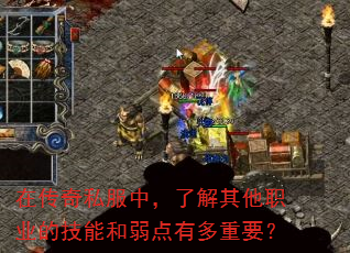 在传奇私服中,了解其他职业的技能和弱点有多重要? 在传奇私服中,了解其他职业的技能和弱点有多重要?