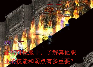 �ڴ���˽���У��˽�����ְҵ�ļ��ܺ������ж���Ҫ��