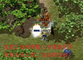 ����֮�Ǵ���ɢ��ר��������̽������ֹ�����������ת��