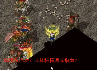 喝酒练内功?武林秘籍速成指南? 喝酒练内功?武林秘籍速成指南?