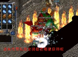 迷失传奇私服坐骑都在哪里获得呢 迷失传奇私服坐骑都在哪里获得呢