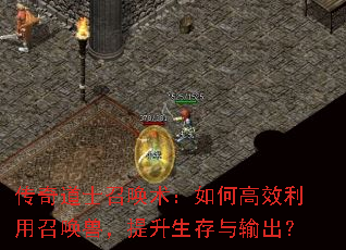 �����ʿ�ٻ�������θ�Ч�����ٻ��ޣ����������������