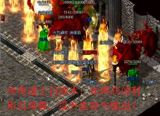 �����ʿ�ٻ�������θ�Ч�����ٻ��ޣ����������������