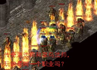 �����Ϸ�ʦ�Ͳ���ʦ�������ͬһ��ְҵ��