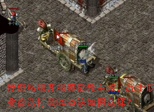 ����˽��������Ȫ�����ǣ�սʿְҵ��ѡ��װBOSS�����ѡ��