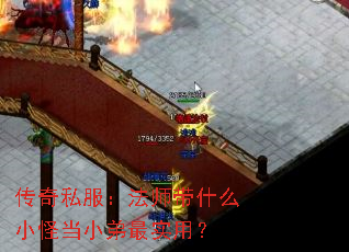 传奇私服:法师带什么小怪当小弟最实用? 传奇私服:法师带什么小怪当小弟最实用?