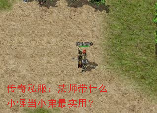 传奇私服:法师带什么小怪当小弟最实用? 传奇私服:法师带什么小怪当小弟最实用?