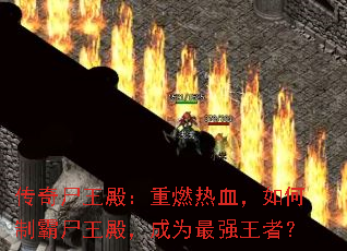 ����ʬ�����ȼ��Ѫ������ư�ʬ�����Ϊ��ǿ���ߣ�