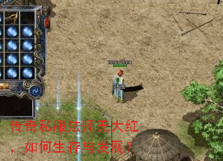 传奇私服法师无大红,如何生存与发展? 传奇私服法师无大红,如何生存与发展?