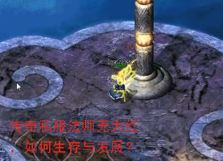 传奇私服法师无大红,如何生存与发展? 传奇私服法师无大红,如何生存与发展?