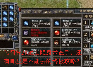传奇私服道士隐身术在手,还有哪里是不能去的终极攻略? 传奇私服道士隐身术在手,还有哪里是不能去的终极攻略?