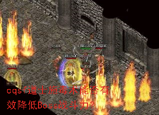 cqsf��ʿʩ�����ܷ���Ч����Bossս������