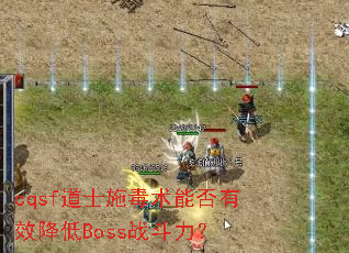 cqsf��ʿʩ�����ܷ���Ч����Bossս������